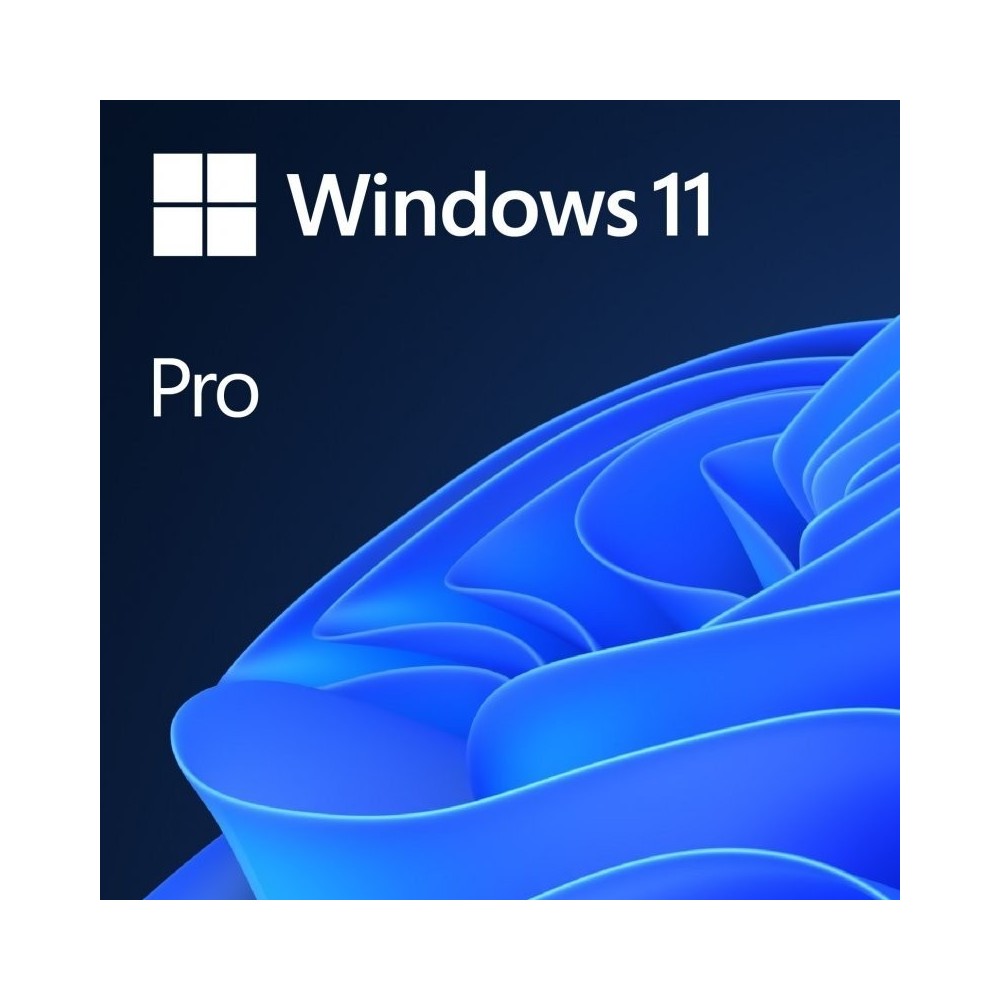 Software Microsoft Windows 11 Pro 64-bit PT